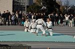 Dcim9591/DSC_8607
