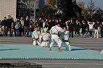 Dcim9591/DSC_8608