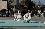Dcim9591/DSC_8610