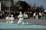 Dcim9591/DSC_8616