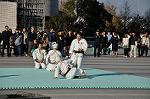 Dcim9591/DSC_8618
