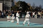 Dcim9591/DSC_8621
