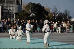 Dcim9591/DSC_8622