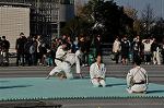 Dcim9591/DSC_8624