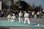 Dcim9591/DSC_8625