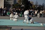 Dcim9591/DSC_8629
