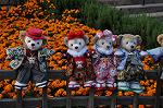 Dcim9598/DSC_9441