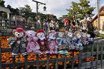 Dcim9598/DSC_9447