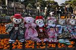 Dcim9598/DSC_9450