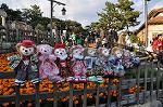 Dcim9598/DSC_9451