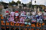Dcim9598/DSC_9456