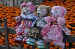 Dcim9598/DSC_9466