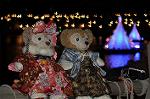 Dcim9604/DSC_0438