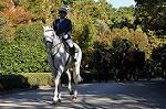 Dcim9609/DSC_0769