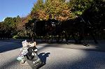 Dcim9609/DSC_0875