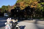 Dcim9610/DSC_0977