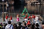 Dcim9613/DSC_1436