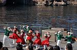 Dcim9613/DSC_1489