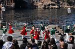 Dcim9613/DSC_1492