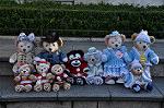 Dcim9616/DSC_1944