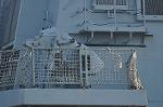 Dcim9641/DSC_4135