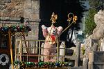 Dcim9661/DSC_0075