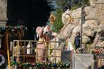 Dcim9661/DSC_0076