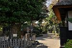Dcim9666/DSC_6819