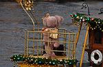 Dcim9669/DSC_7252