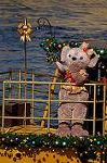 Dcim9691/DSC_0223