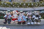 Dcim9692/DSC_0331