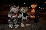 Dcim9699/DSC_1576
