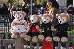 Dcim9712/DSC_3328
