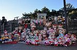Dcim9712/DSC_3395