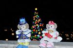 Dcim9716/DSC_3991