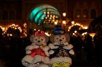 Dcim9719/DSC_4501
