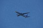Dcim9722/DSC_4702