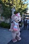 Dcim9725/DSC_5206