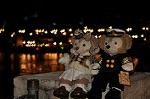 Dcim9728/DSC_5583