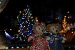 Dcim9741/DSC_7304
