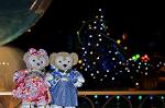 Dcim9741/DSC_7377