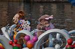 Dcim9746/DSC_7876
