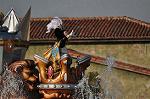 Dcim9748/DSC_8223