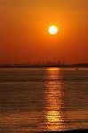 Dcim9752/DSC_8749