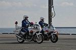 Dcim9768/DSC_1135