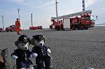 Dcim9770/DSC_1307
