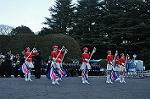 Dcim9774/DSC_1732