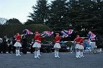Dcim9774/DSC_1733