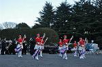 Dcim9775/DSC_1882