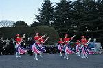 Dcim9775/DSC_1914